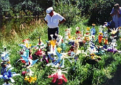 1988 - Blumenwiese im Toesstal